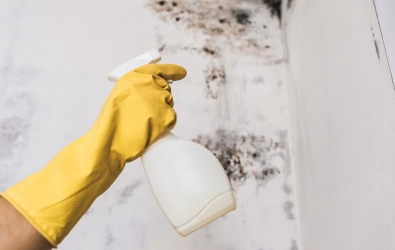 How To Remove Mold From Shower Caulking? How To Remove Mold From Shower Caulking?