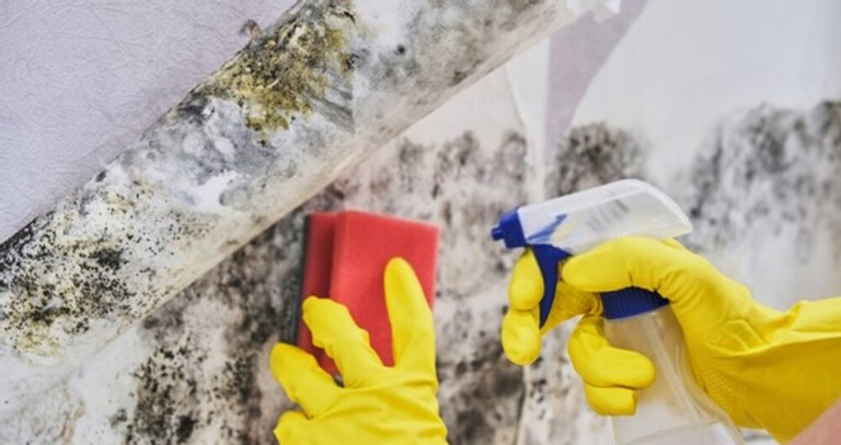 How To Remove Mold From Shower Caulking? How To Remove Mold From Shower Caulking?