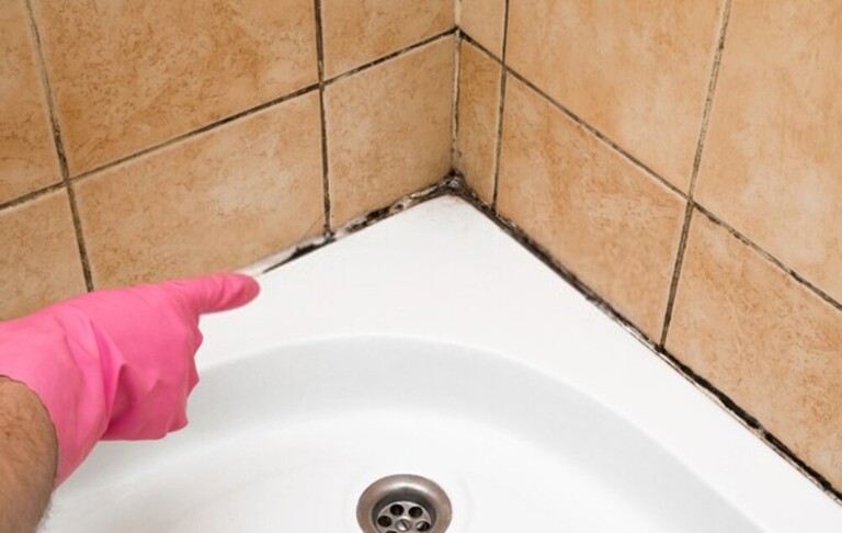 How To Remove Mold From Shower Caulking? How To Remove Mold From Shower Caulking?