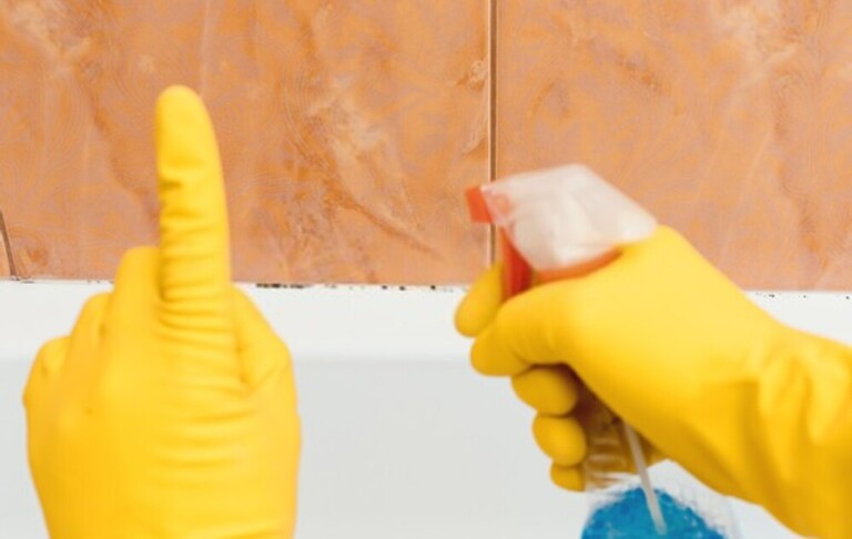 How To Remove Mold From Shower Caulking? How To Remove Mold From Shower Caulking?