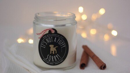 5 Best Fall Bath And Body Works Candles of 2026