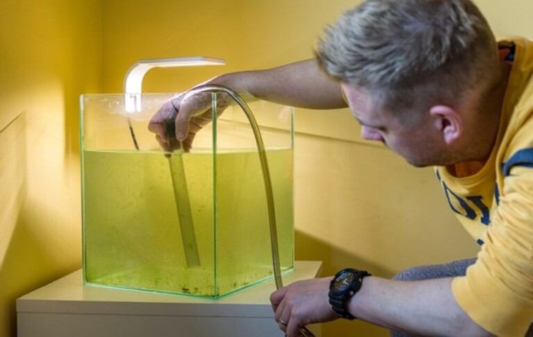 How to Convert a Saltwater Tank to Freshwater? How to Convert a Saltwater Tank to Freshwater?