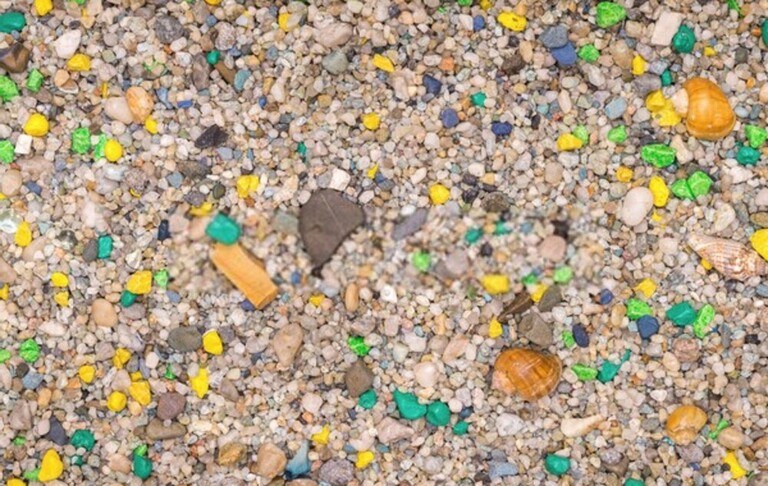 How to Convert a Saltwater Tank to Freshwater?