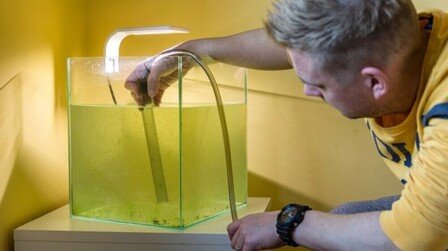 How to Convert a Saltwater Tank to Freshwater?