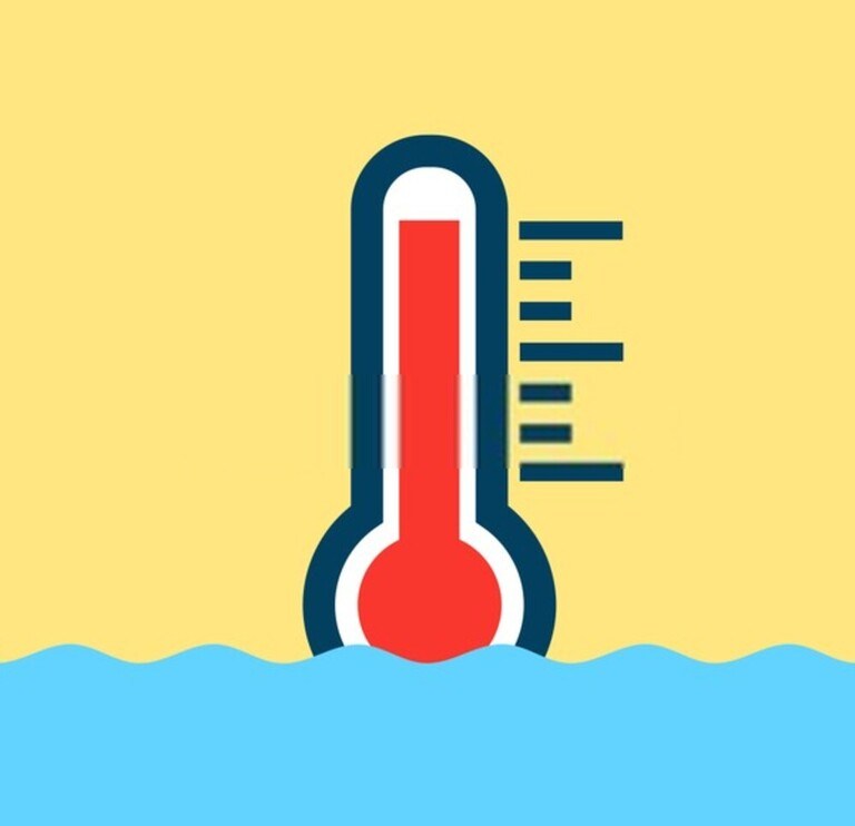 How Do You Treat A Bacterial Infection In A Betta Fish? How Do You Treat A Bacterial Infection In A Betta Fish?