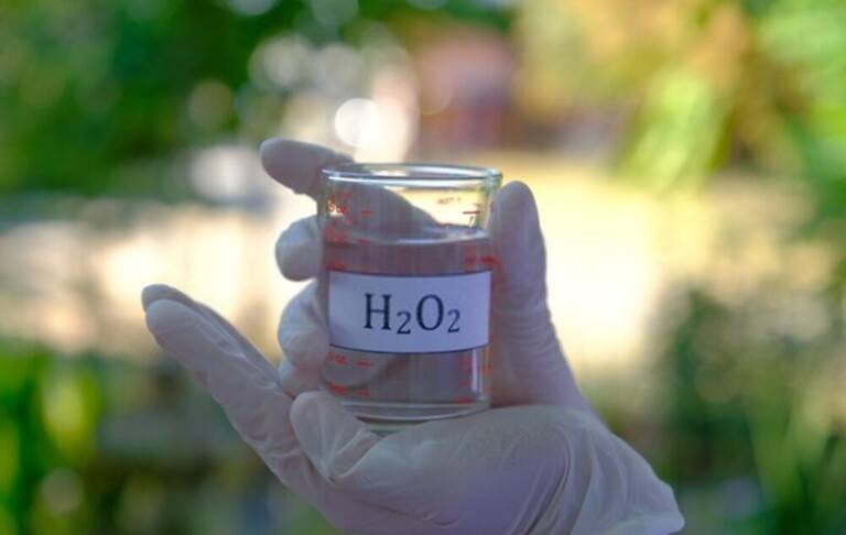 How Do You Treat A Bacterial Infection In A Betta Fish?